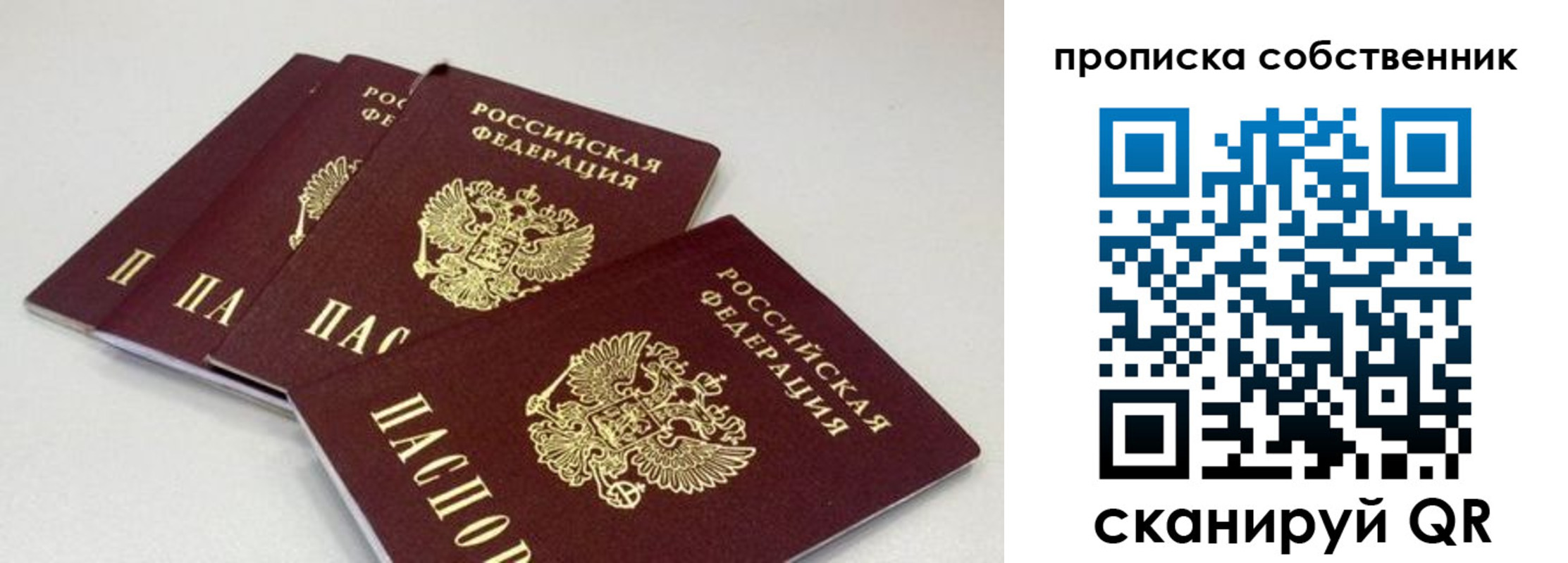 где прописаться в Елизово